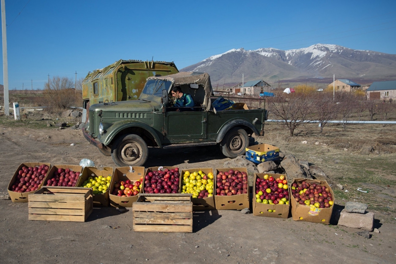 میوه و مواد غذایی  در ارمنستان